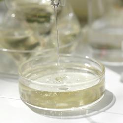 Evershine 晴天大白酵素除菌洗衣凝珠 浓缩洗衣液护衣护色 袋装